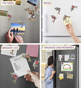 Imán de refrigerador Dolphin Rockstone – Ocean Life Tema –