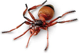 Recursos de Aprendizaje Insectos Gigantes, 7 Piezas, 3+ Años