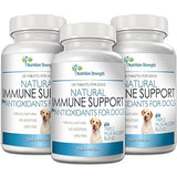 Support para perros más antioxidante 120 tabletas masticable