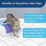 Arena para gatos de cristal.
