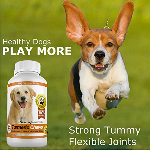 Increíble cúrcuma para perros Antioxidante para mascotas