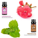 Essential Oils,Top 10 Pure Aromatherapy Oils Set de regalo