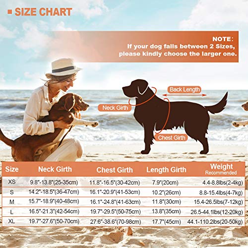 EMUST - Chaleco salvavidas/traje de baño de seguridad con diseño de tiburón, tejido antidesgarro con asa de rescate para perros pequeños, medianos y grandes, para piscina, playa, barcos
