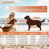 EMUST - Chaleco salvavidas/traje de baño de seguridad con diseño de tiburón, tejido antidesgarro con asa de rescate para perros pequeños, medianos y grandes, para piscina, playa, barcos