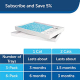 Arena para gatos de cristal.