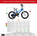 Bicicleta BMX