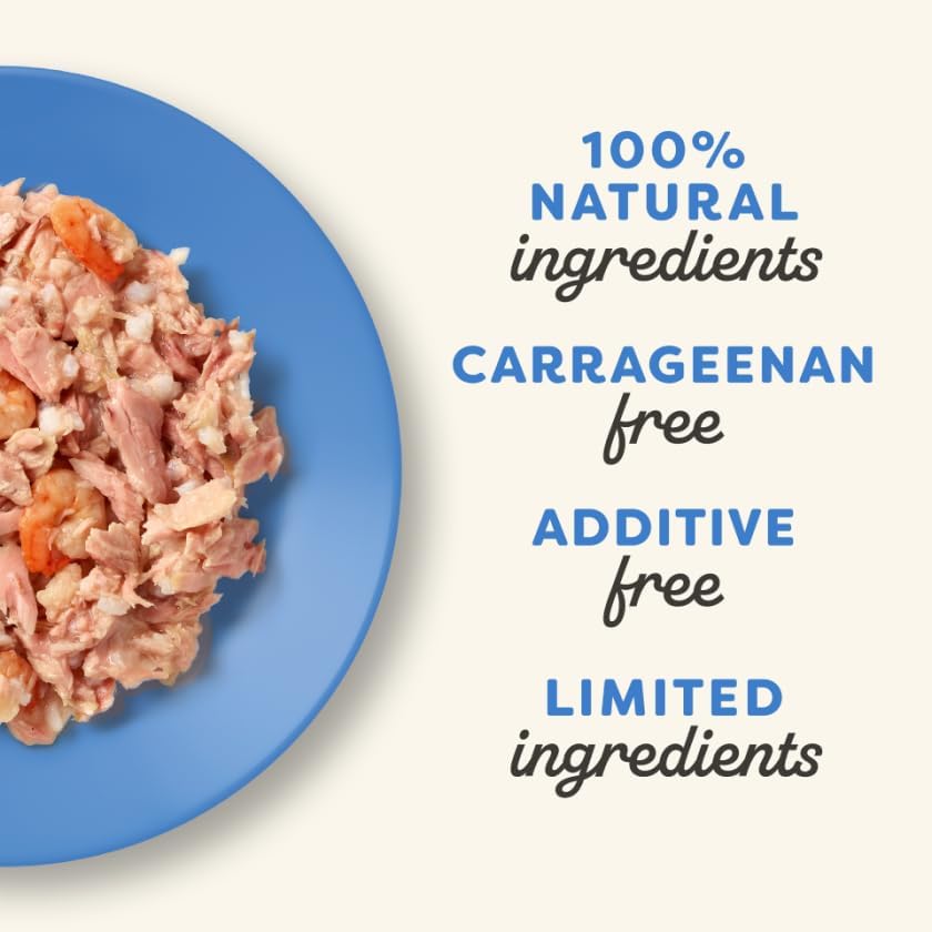 Comida Húmeda Natural para Gatos Applaws, 8 Pots de Pescado