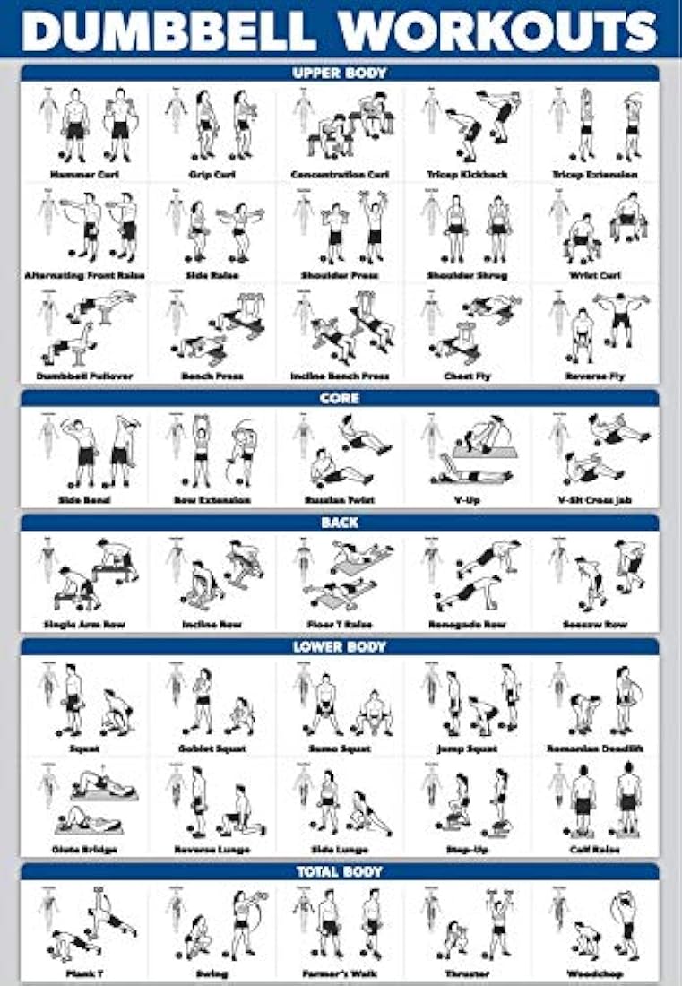 Póster de entrenamiento de mancuernas de Palace Learning