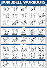 Póster de entrenamiento de mancuernas de Palace Learning