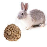 bola con Bell para conejo Hamster Guinea Pig chinchillas