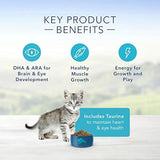 Alimento seco para gatos