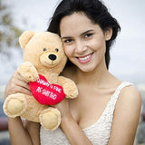 Peluche de oso color marrón con corazón rojo.Hollabears