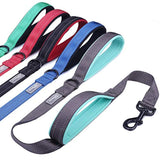 Vivaglory Correa para perro con dos asas acolchadas