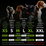 Fitwarm XOXO - Camisa de Pascua 100% algodón para perros, ropa romántica para perritos del 4 de julio, ropa patriótica para perros, camiseta para cachorros, chaleco para mascotas, camiseta sin mangas para gatos
