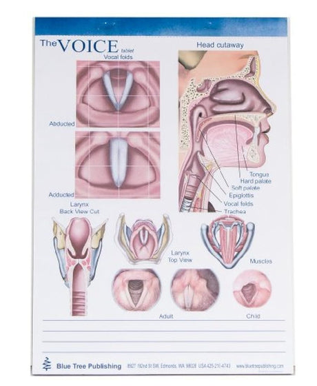 Voz, tragar, Speech producción Tablets, set-50 Hojas por tablet-3 tabletas por package-8 1/4" W, 11 5/8" T