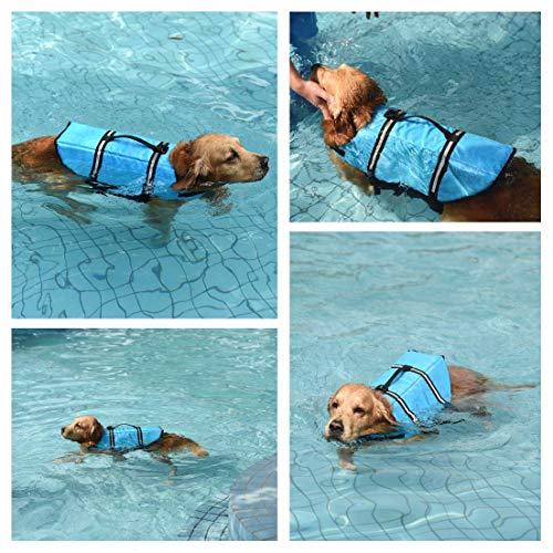 Doglay - Chaleco salvavidas para perros con tiras reflectantes, alta flotabilidad y ajustable, traje de baño para perros pequeños, medianos y grandes