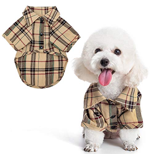 Camisa para perros pequeños disfraz de solapa de gato
