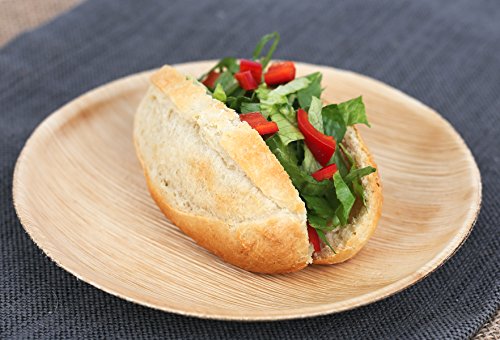 Platos biodegradables (Paquete de 25)