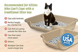 Caja de arena para gatos