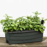 Novelty Co  - Kit de jardinería junior