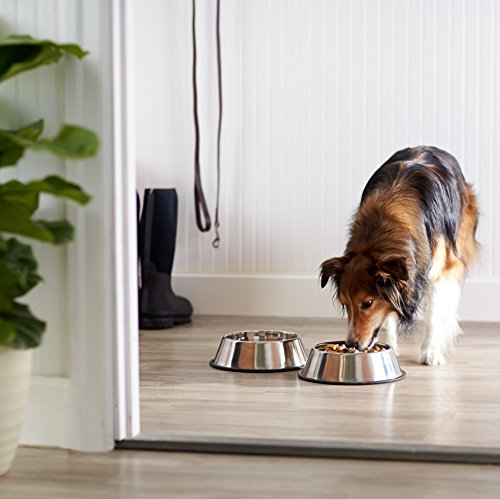 Tazón para perros de acero inoxidable AmazonBasics