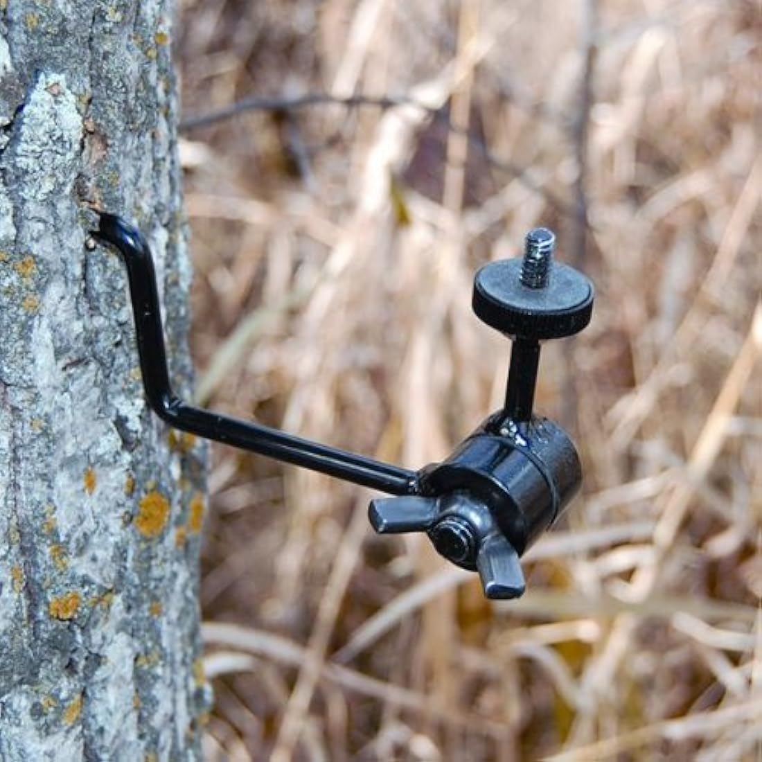 HME Products Economy Trail - Soporte para cámara, Verde