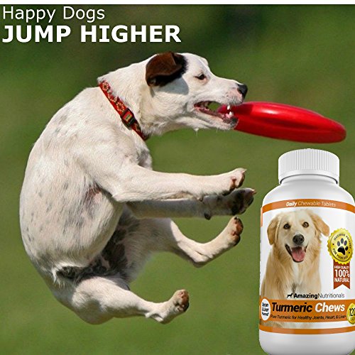 Increíble cúrcuma para perros Antioxidante para mascotas