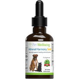Apoyo natural para la disfunción suprarrenal y Cushing perro