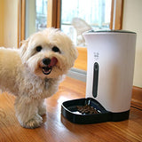 Alimentador automático de mascotas