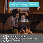 Tomas de casa inteligente con WiFi funciona con Alexa