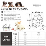 Protector para patas de perros y gatos, botitas de perro