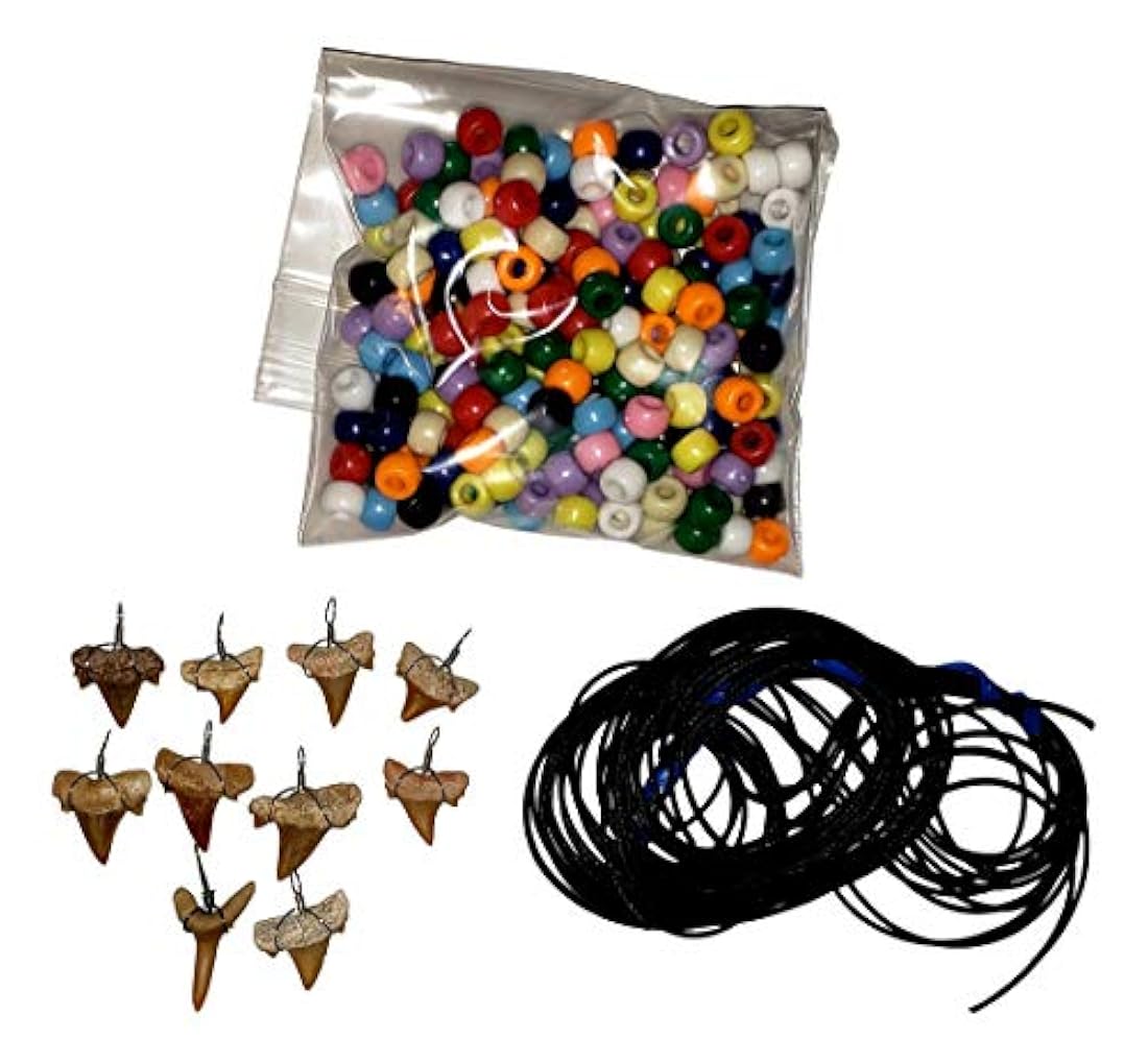 Kit de collar de dientes de tiburón fósiles