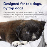 Cama para perro Casper, espuma viscoelástica de felpa