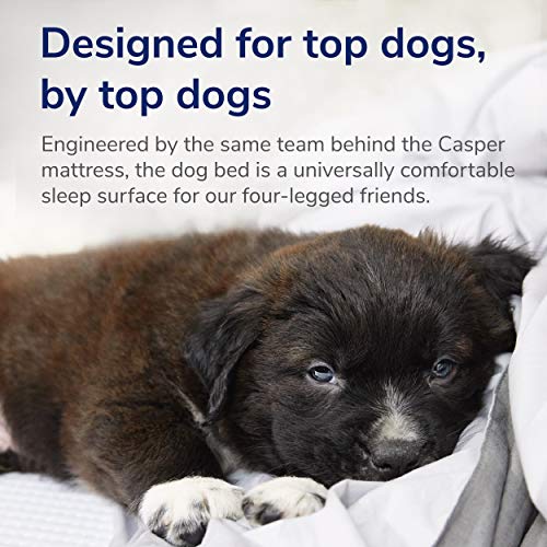 Cama para perro de espuma viscoelástica de felpa Casper