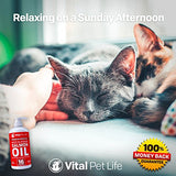 Aceite de salmón para perros gatos y caballos