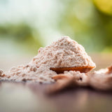SVATV Shatavari Powder Espárragos racemosos Hierba  8.01 oz