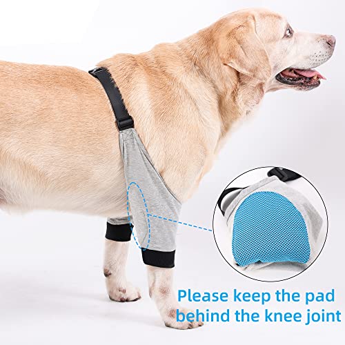 Yealay Manga de recuperación para las piernas delanteras de perro, suave, acolchado, codo para perro, protector de heridas, pantalones cortos para perros pequeños y medianos (S)