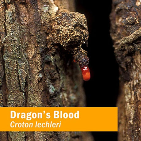 Sangre Líquido para el Árbol de Sap Herb Pharm