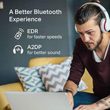 TP-Link - Adaptador USB Bluetooth para PC (UB400), receptor