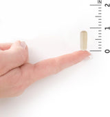 Suplementos Probióticos Acidophilus para la salud digestiva