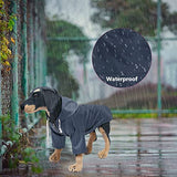 Chubasquero con cremallera para perro con capucha