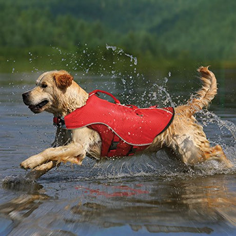 Chaleco salvavidas para perros