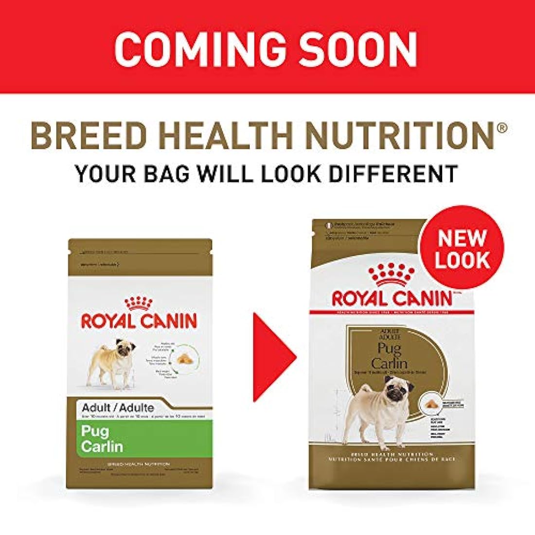 Alimento seco para perro Adulto