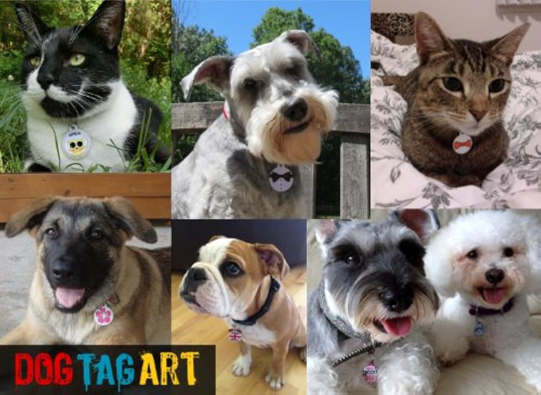 Perro ID Tag para perros  Grande  1.25 pulgadas