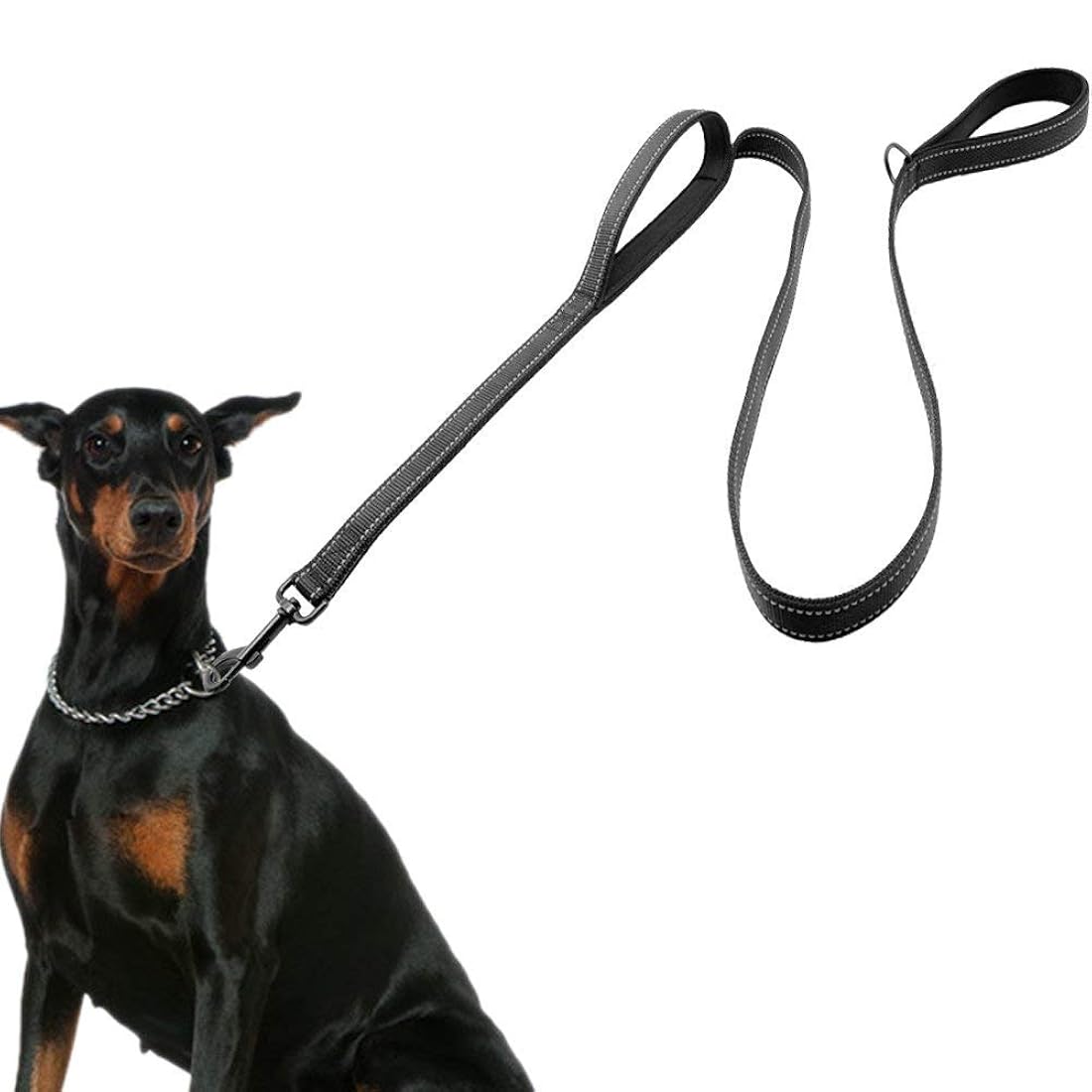 correa  para perros grandes 2 asas