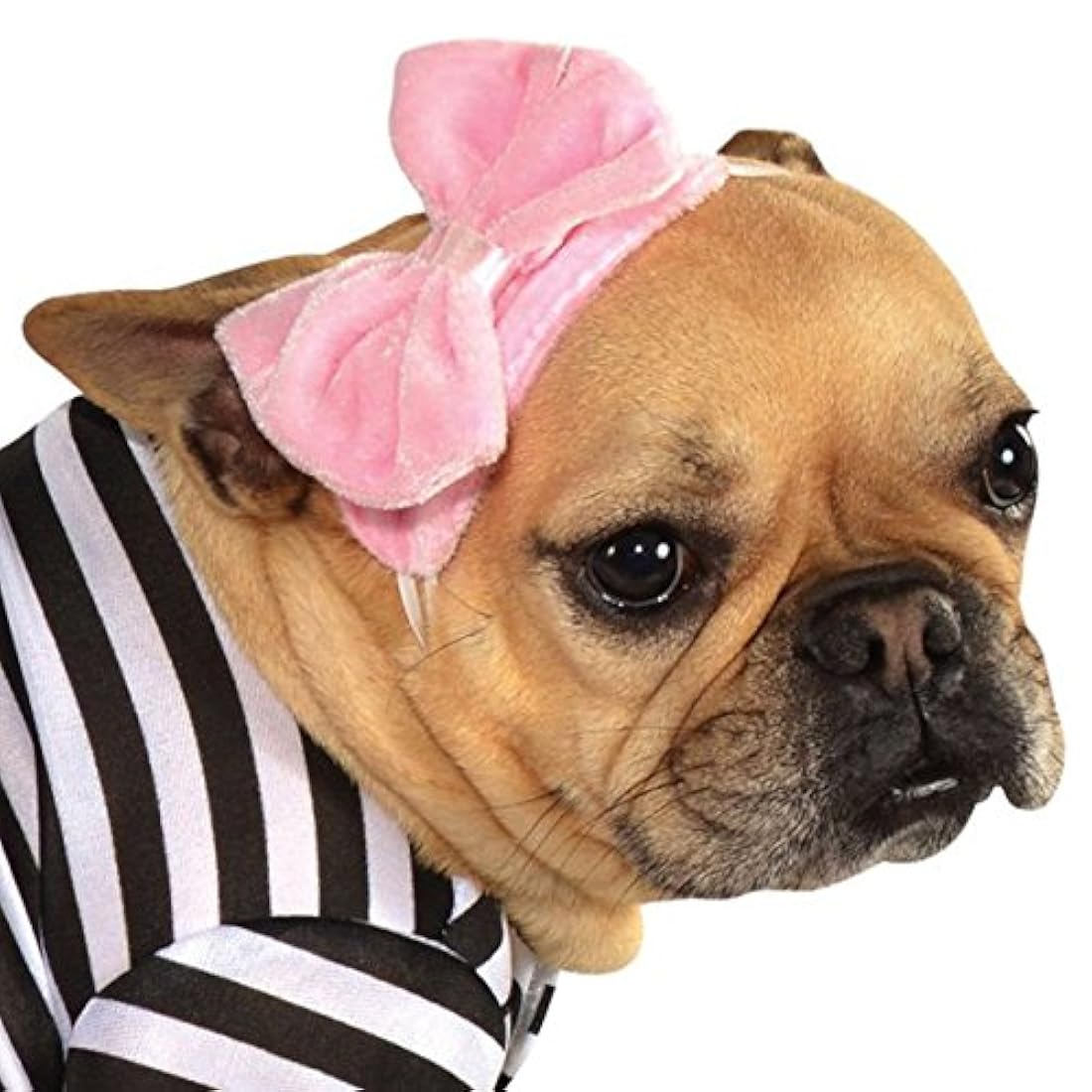 disfraz de perros hembras
