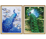 Yomiie 5D Pintura de diamante esmeraldas y zafiros pavo real