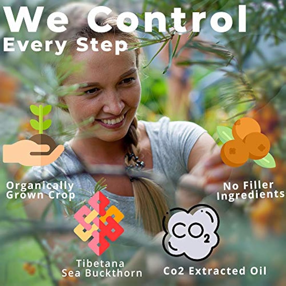 Aceite de baya Sea Buckthorn, 100% orgánica certificada