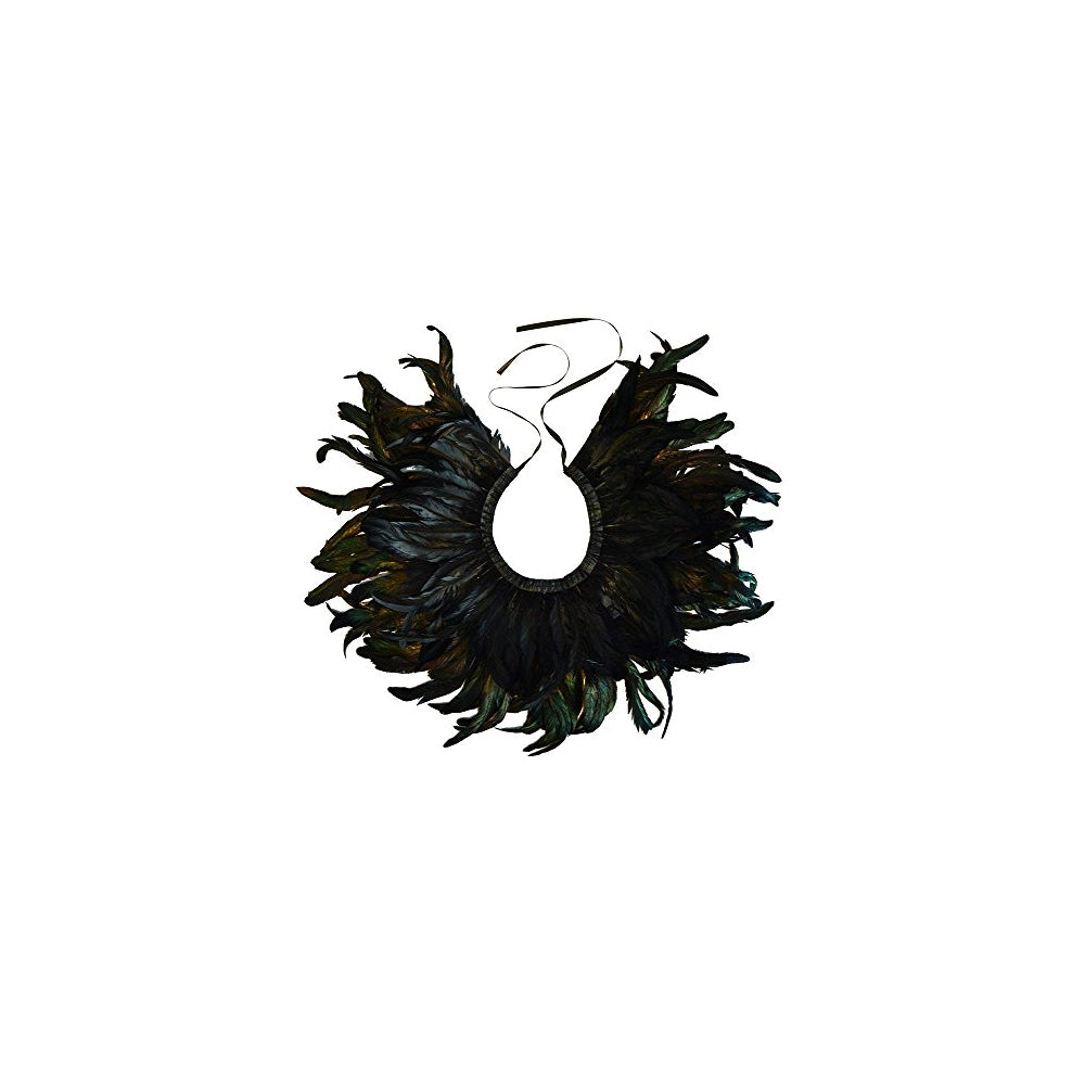 Disfraz gótico de plumas negras para hombre