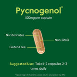 Suplemento Extracto de corteza de pino Pycnogenol 100 mg
